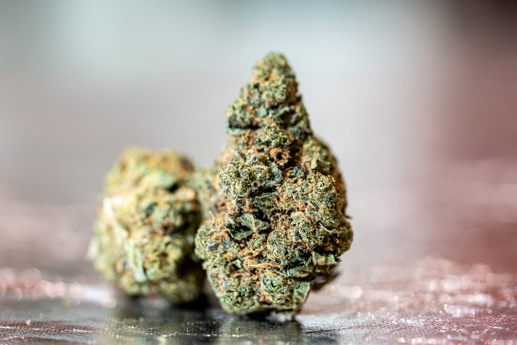 Two frosty flower buds side by side on a reflective surface, in close-up